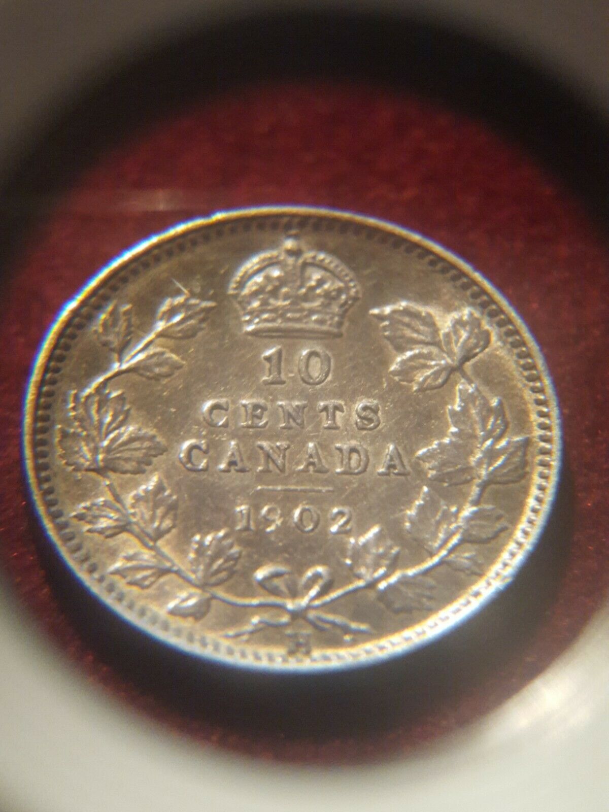 1902-10-Cents-For-Your-Expert-Grading-Tia
